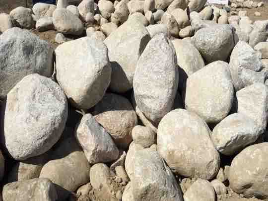 White Granite Boulders